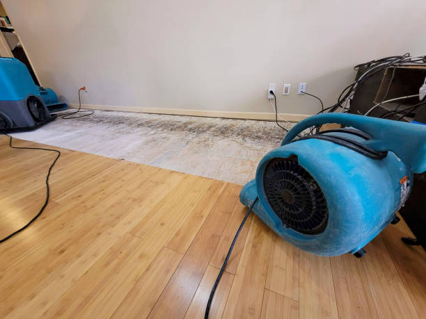 Professional Structural Drying technician working in Waynesboro, VA